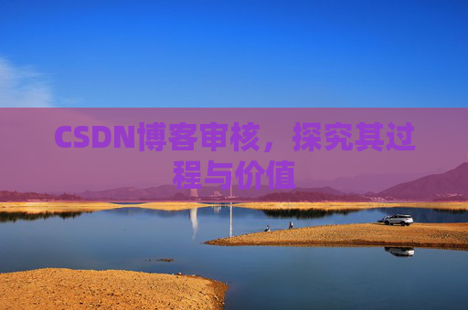 CSDN博客审核，探究其过程与价值